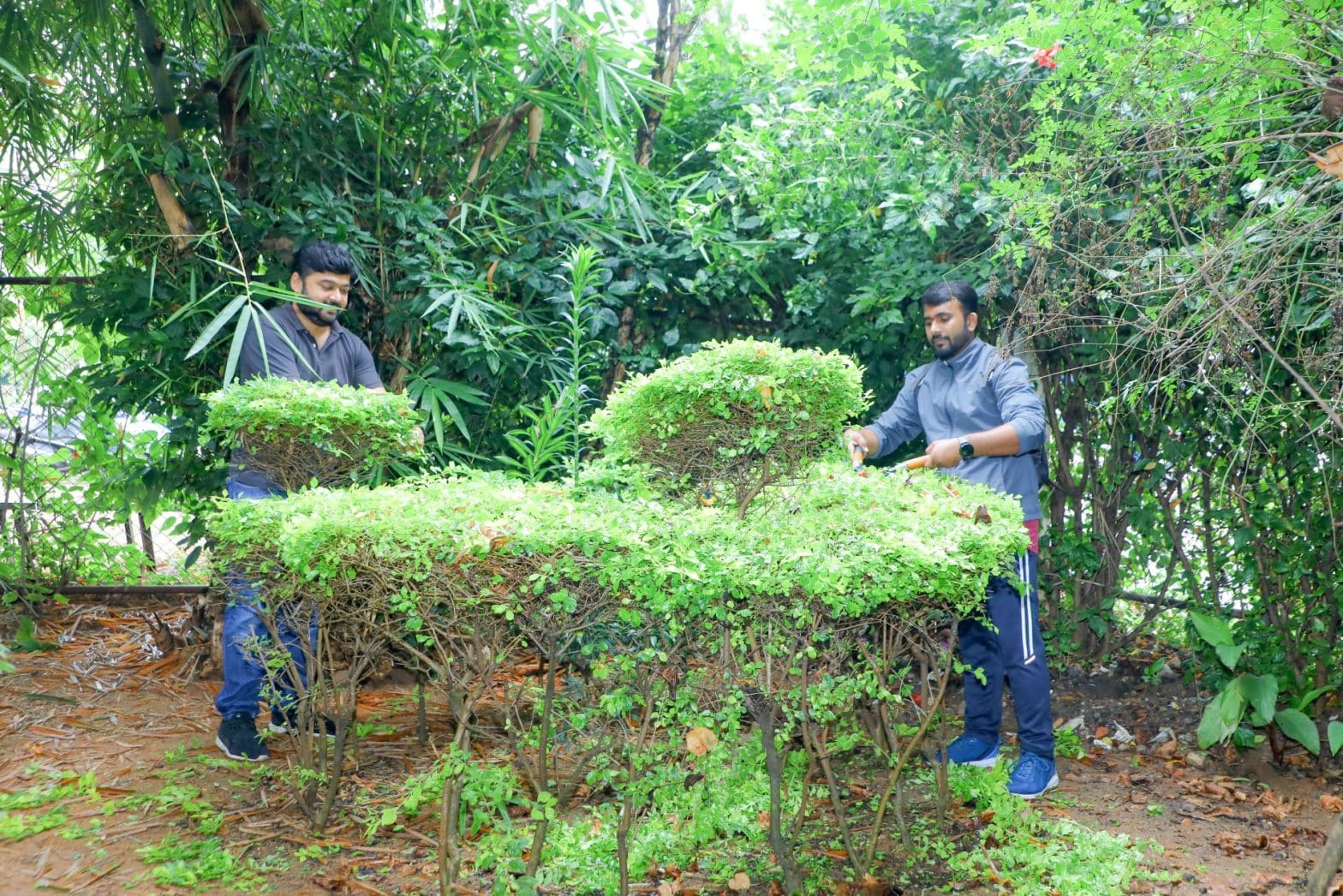 MillerKnoll India leads the charge in sustainability. Commercial