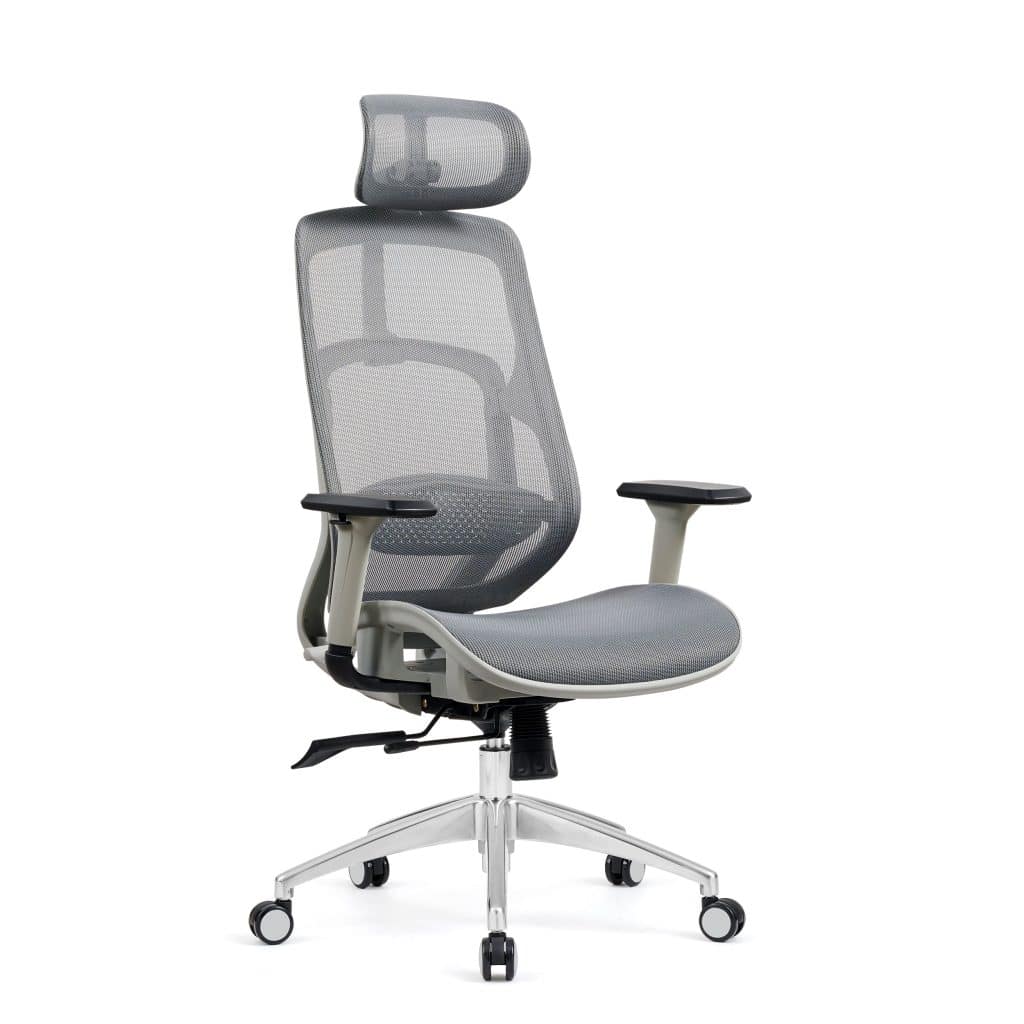 Ergospace enhances its portfolio by launching new comfort solution The Polo Chair Commercial Design India