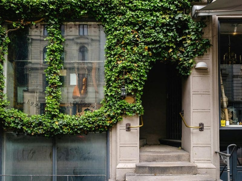 Biophilic Design